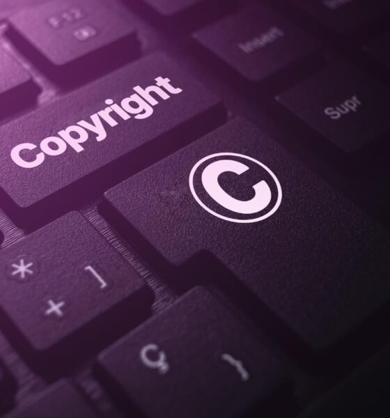 content licensing license digital content passive income licensing royalty income license articles license photos license video content content monetization digital content licensing intellectual property income